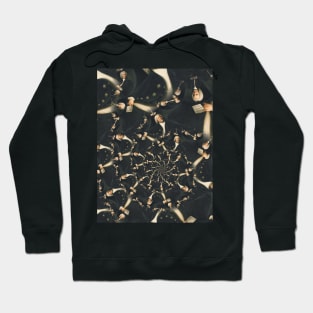 Bach Illusion Hoodie